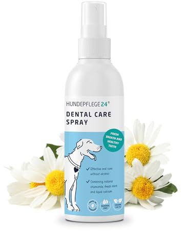 Hundepflege24 Dog Dental Care Spray - Healthy, clean, strong teeth & gums + fresh breath for dogs - Natural ingredients like chamomile, calcium & mint - Dental Spray for Dogs & Cats 125ml