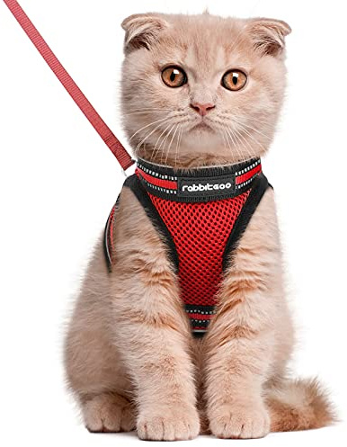 rabbitgoo Pettorina Gatto Antifuga, Guinzaglio Gatti Regolabile, Imbracatura Ultra-Leggero Morbido Riflettente per Cucciolo, Gattini e Gatto Piccolo, Pettorina per Passeggio e Corsa, L, Rosso