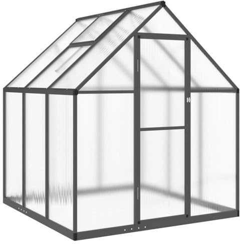 vidaXL Gewächshaus mit Fundamentrahmen, Pflanzenhaus mit Dachrinnensystem Flügeltür, Treibhaus für Pflanzen, Frühbeet, Anthrazit Aluminimum