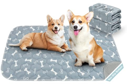 Aomig 2 Pezzi 60 * 40cm Tappetini Assorbenti per Cani, Tappeti Assorbenti Riutilizzabili, Educatore Tappetino Pads per Cuccioli, Tappetini Igienici per Cani, Tappetino Antiscivolo Tappetini, Grigio