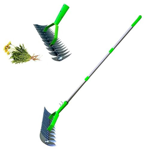 Lawn Aerator Scarifier with Handle,Lawn Aerator Spikes Aerating Tool,Manual Lawn Grass Soil Aeration Scarification,Versatile Grass Grooming Rake for Cleaning Dead Grass,Durable Soil Rake, 1.7m