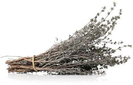 Duo de 200 graines Aromatiques à semer - Le Grenier d'Abondance - Thym de Provence et Serpolet - Mélange à découvrir - 2 sachets individuels