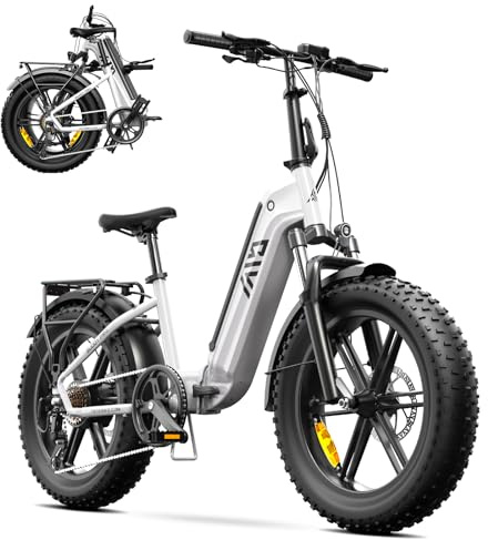 TST Bicicleta Eléctrica Plegable para Mujeres y Hombres con Control por App y Suspensión, Bicicleta Eléctrica Todo Terreno 20 Llantas Fat 25KM/H 250W Motor Batería 48V 15Ah Extraíble, Autonomía 40KM