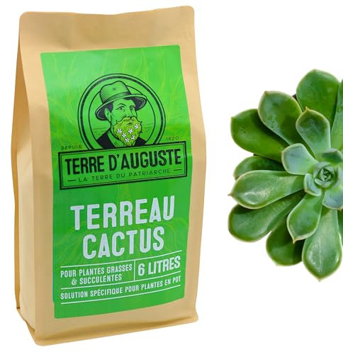 Terre d'Auguste – Terreau Cactus, Plantes Grasses, Succulentes et Cactées – Qualité Supérieure pour Plantes d'intérieur, Sac Refermable