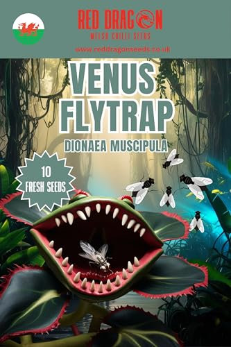 Venus Fly Trap Seeds - 10 Fresh Dionaea Muscipula Seeds