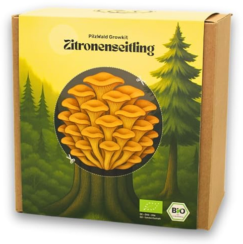 PilzWald Growkit Zitronenseitling - Speisepilze selber züchten - Pilzzucht Set für Anfänger mit Bilder-Anleitung - Gelbe Austernpilze Pilzzuchtset für Haus und Garten
