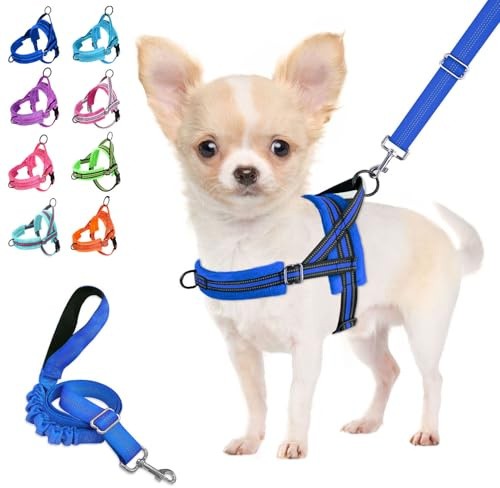 Lukovee No Pull Dog Harness and Leash Set, Soft Padded Small Dog Harness, Neck & Chest Adjustable Reflective Vest Puppy Harness with 4ft Lightweight Anti-Twist Dog Leash for Small Dogs (XXS, Blue)