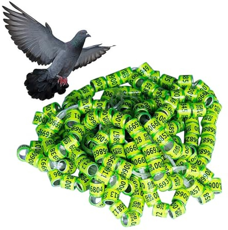Bagues pour pattes de pignon - Attaches d'identification pour oiseaux, 50 pièces | Anneaux numérotés pour Pigeons 2025, pour oiseaux, colliers de serrage pour jambes de pigeon, fournitures d'élevage