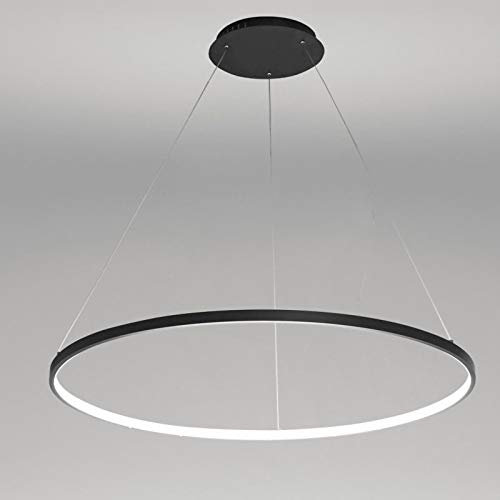 1-Light Circle Pendant Light,LED Metal Acrylic Chandelier Modern Suspended Adjustable Hanging Light for Living Room,Bedroom,Kitchen,Black+WhiteLight-20cm