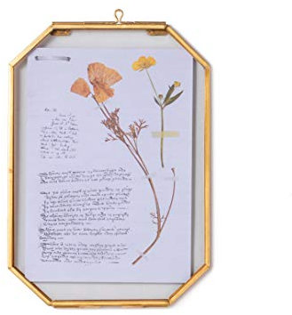 NCYP Cornice ottagonale da appendere in ottone per fiori secchi pressati per piante di erbario, vintage galleria decorativa da parete, telaio galleggiante da 12,7 x 17,8 cm, solo cornice in vetro