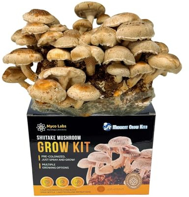 Shiitake Mushroom Grow Kit (5.5lbs) Grow Your Own Mushrooms at Home | Easy Indoor Grow Bag Kit