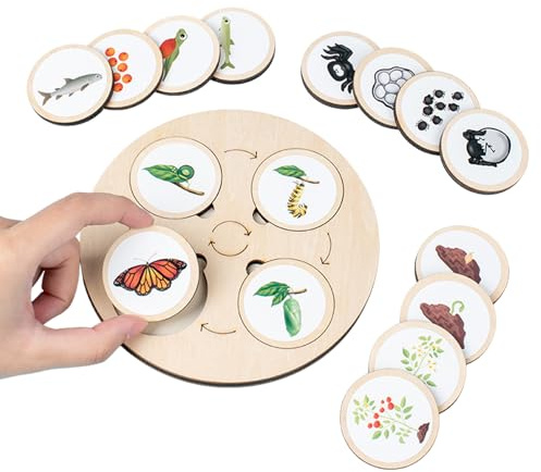 Puzzle del ciclo de vida - Tablero de ciclo de crecimiento de la vida, Toya de de madera para niños pequeños Ciclo de vida | de madera, figuras de animales juego d