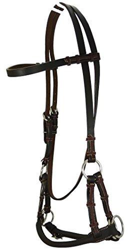 Thor Equine Sidepull gebisslos rundes Nasenstück Leder Dunkelbraun einseitig verstellbar Edelstahlbeschläge Rope Nasenriemen