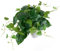 FARROWR Artificial Pothos Plant with Plastic Pot - Fake Indoor Faux Plant for Home Office Decor 1 Pack