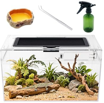 Reptile Plastic Terrarium Set,12 x 7x 6 Low Reptile Tank with Full View Visually Appealing，for Insect，Fish，Tarantula，Hermit Crab，Jumping Spider，Iguana，Tortoise，Leopard Gecko，Frog，Bearded Dragon