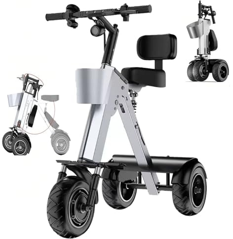 ZenSeFarin Triciclo Eléctrico para Adultos con Asiento para Padres E Hijos, Ligero, con Batería Extraíble De 36 V Y 10 Ah, Marcha Atrás E Interruptor De Llave, Capacidad De Carga: 175kg