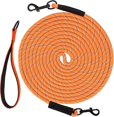 Taglory Long Dog Leash with Removable Padded Handle Tie Out, 15/30/50/66FT Heavy Duty Training Leash with 2 Swivel Hooks for Large Medium Small Dogs Camping, Hiking, Walking, Backyard, Orange, 30FT