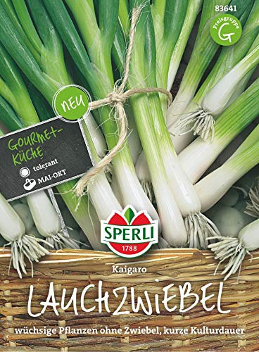Lauchzwiebel 'Kaigaro',1 Portion