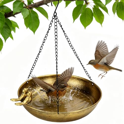 Bain d'oiseaux suspendu en métal - Pour l'hiver - Pour le jardin - Mangeoire à suspendre
