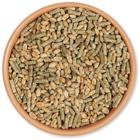 National Trust Duck & Swan Food 12.75kg – Duck Food for Wild Duck, Swan Feed – All Season Wildfowl Feed – Protein Rich