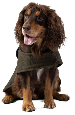 HUGO & HUDSON x Hackett Chaqueta de Tweed para Perro, Abrigo de Invierno cálido con Cuello de Pana, Cuadros Verde Oscuro en Espiga, S35