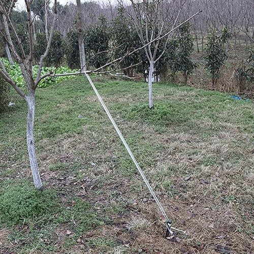 Ancla tu jardín de manera efectiva con estos postes paisajísticos, juego completo de 12 disponibles ahora