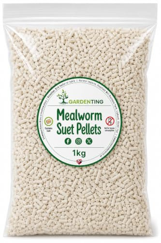Garden Ting Mealworm Suet Pellets WIld Bird Food, 1kg