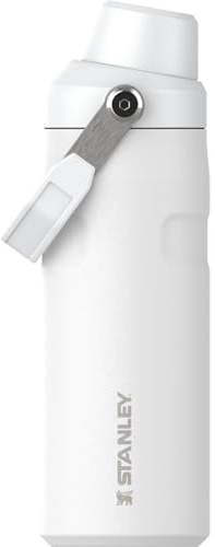 Stanley IceFlow Fast Flow Water Bottle 16 oz | Angled Spout Lid | Lightweight and Leakproof for Travel and Sports | Insulated Stainless Steel | BPA-Free | Frost