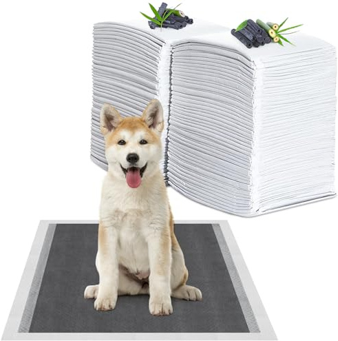 YADOBIG 40 Pezzi Tappetini Igienici per Cani, 60 x 60cm Tappetini al Carbone, 6 Strati Tappetini Assorbenti per Cani, Tappetini Cane con Controllo degli Odori