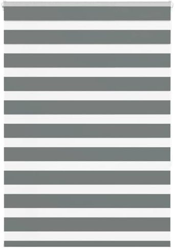 vidaXL Zebrarollo Dunkelgrau 115x150 cm Stoffbreite 110,9 cm Polyester, Zebra-Rollo, Doppelrollo, Zebra-Jalousie für Fenster, Doppelrollo, Zebra-Rollo