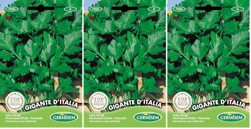 Germisem Gigante D'Italia Semillas de Perejil 10 g, EC7006 (Paquete de 3)