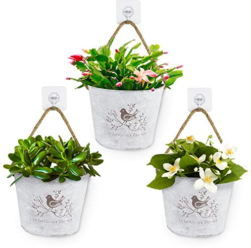 BOFUNX 3 Stücke Hängende Blumentöpfe Metall Vintage Blumentopf Hängeampel mit Juteseil Selbstklebend Haken für Blumen Pflanzen Wanddeko Gartendeko Wandvase