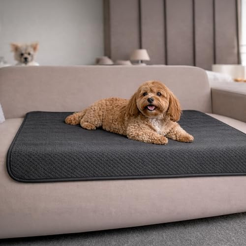 Dreamzie Coperta Impermeabile per Cani 80x100cm - Copridivano Impermeabile per Animali - Reversibile e Lavabile in Lavatrice in Pile Sherpa per Letto o Divano - Grigio scuro