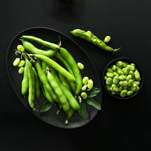 Semi di fava,resistenti in vaso,decorative semi di ortaggi invernali,da giardino coltivazione di semi 20pcs