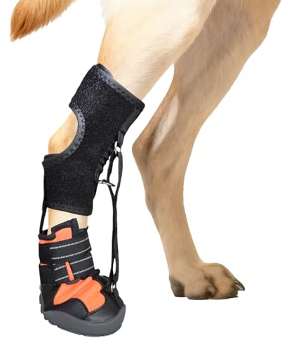 Zapatos correctivos para perros Pitadue con carrete para arrastrar las patas, levantan los dedos de manera segura. Soporte para caída de pies con carrete. Sin enganches para las uñas