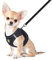 FEimaX Hundegeschirr mit Leine für Kleine Mittele Hunde Katzen Weich Mesh Welpengeschirr Atmungsaktive Brustgeschirr Verstellbare Reflektierend No Pull Weste Chihuahua Katze
