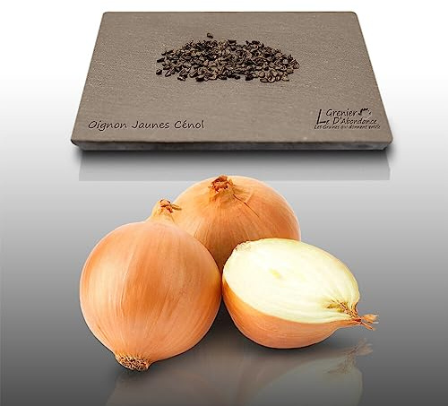 150 graines à semer - Le Grenier d'Abondance - OIGNON Jaune Cénol - Allium stam