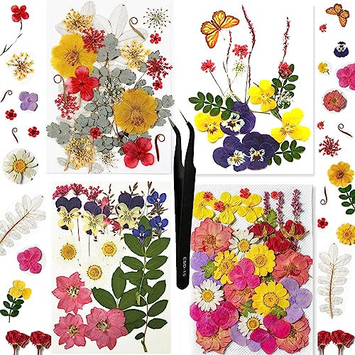 Huimai 101 Stück Gepresste Blumen für Harzformen Deko Zubehör,Natürliche Trockenpress Blumen,DIY Kerzen,Seife,Anhänger,Lesezeichen und Kartenherstellung (101)