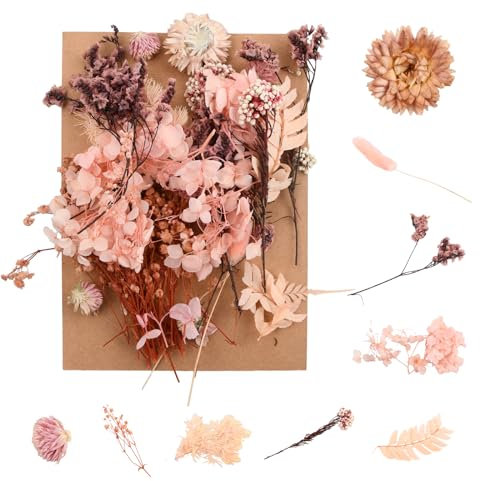Cozlly Fiori Secchi Naturali, Fiori Pressati Secchi, Veri Fiori Secchi, Decorazioni Floreali Fai Da Te, per Resina Candele Artigianato Scrapbooking Decorazioni (Rosa)