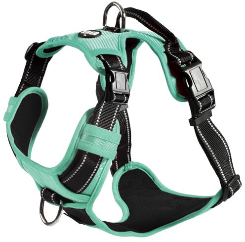 Bobby Rando Walk Harnais pour Chien Taille L, en Nylon réfléchissant, Boucles réglables à Fermeture sûre, Facile à Porter, Gris Ras du Cou 46-70 cm, Tour de Poitrine 56-73 cm