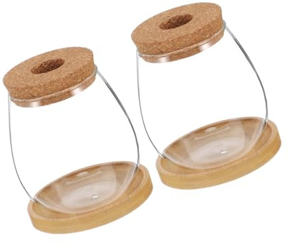 KONTONTY 2 Sets Hydroponic Plant Vase Glass Propagation Station for Indoor Plants Flower Display Creative Hydroponic Glass Vase for Countertop