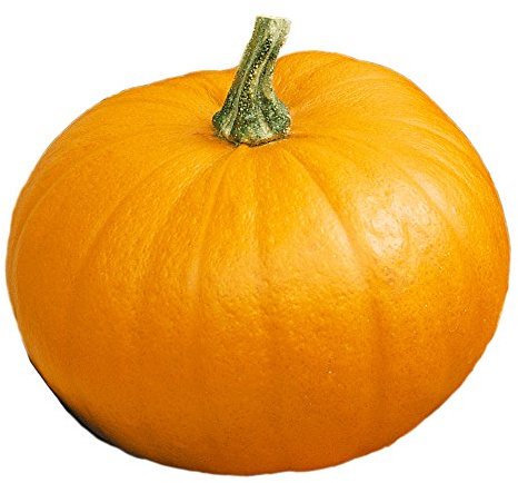 Burpee Small Sugar Pumpkin Seeds 50 seeds