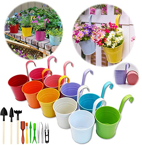 GIOVARA Set di 10 Grandi Vasi da Fiori in Metallo con Attrezzi da Giardino, da Appendere, Nessun Foro di Drenaggio, Gancio Staccabile, Balcone, Giardino, Decorazione per la Casa