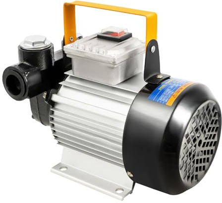 Pompa del carburante diesel, 550 W, pompa diesel elettrica, 220 V, portata 60 l/min, con filtro per camion, barche e fattoria, robusta pompa di trasferimento in ghisa per gasolio