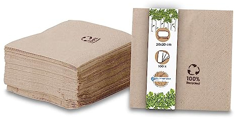 GREENBOX Umweltfreundliche Bio Servietten aus Recyclingpapier I Hochwertige Papierservietten 10 x 10 cm I 100 Stück Cocktailservietten ungebleicht, biologisch abbaubar, kompostierbar