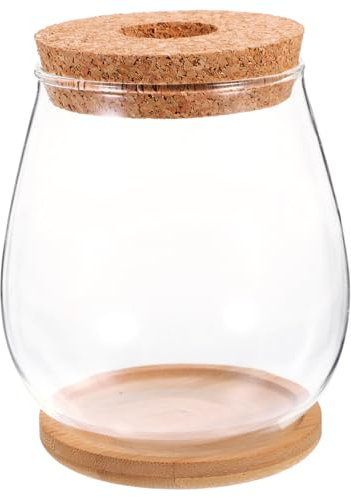 BEBEMOKO Terrarium Jar Hydroponic Vase Glass Micro Landscape Planter Bottle Decorative Moss Plant Bottle for Home