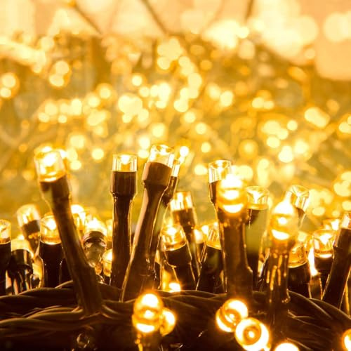 Quntis julgransljus varmvitt 25m 1000 ledda inomhus utomhus kluster fairy lights nätdrivna säker lågspänningsdekoration för xmas träd trädgårdslusthus fest bröllop pergola bröllopsfönster | Nätdriven klusterbelysning för julgran, trädgård och festliga arrangemang säker lågspänning varmt sken för mysiga kvällar