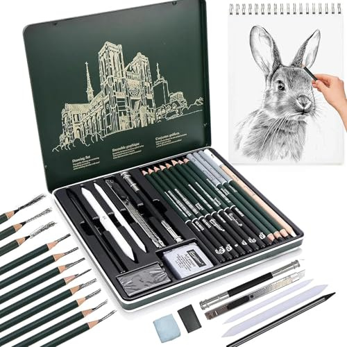 Wemfg Set di 19 matite da disegno professionale con matite a carbone per disegnare e strumenti, set da disegno professionale per scuola e uso quotidiano