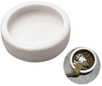 FUTUREORYY Cuenco Redondo Superficie Lisa y Alta Luminosidad de Cerámica Blanco Antiescape para Reptiles y Camarones Adecuado para Acuarios y Terrarios