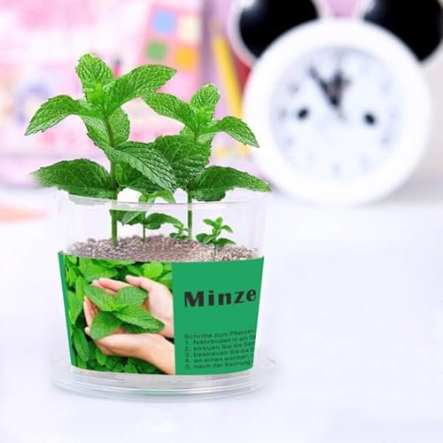 Pflanzset Kinder Anzuchtset Kinder Gartenset Gartenset Pflanzen Set - Gärtner Set & Blumen Anzuchtset - Mini Garten Anzuchtsets für Blumen & Kräuter,Bestes Geschenk für Kinder